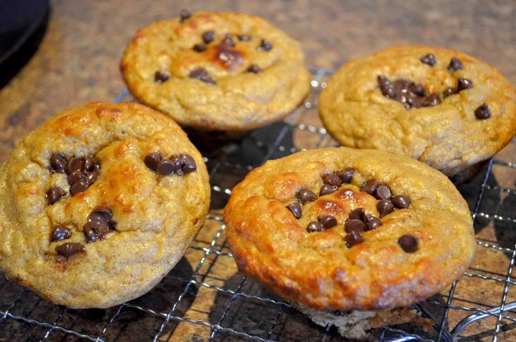 Delicious High Protein Desserts! Forums